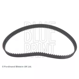 Courroie crantée BLUE PRINT