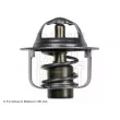 Thermostat d'eau BLUE PRINT ADK89201 - Visuel 2