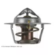 Thermostat d'eau BLUE PRINT ADK89204 - Visuel 2