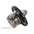 Thermostat d'eau BLUE PRINT ADK89205 - Visuel 2