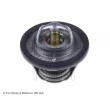 Thermostat d'eau BLUE PRINT ADK89213 - Visuel 1