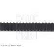 Courroie crantée BLUE PRINT ADL147503 - Visuel 2