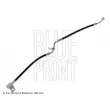 Flexible de frein avant gauche BLUE PRINT ADM553104 - Visuel 1