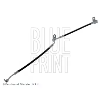Flexible de frein avant droit BLUE PRINT ADM553105