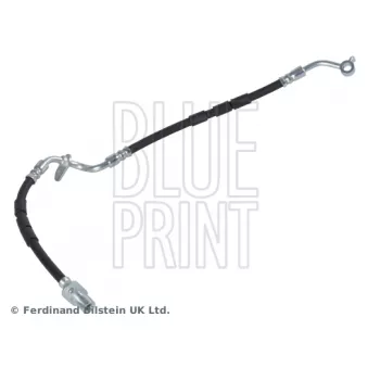 Flexible de frein avant droit BLUE PRINT ADM553107