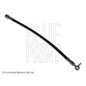 Flexible de frein avant droit BLUE PRINT ADM553109