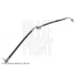 Flexible de frein avant gauche BLUE PRINT ADM553116 - Visuel 1