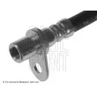 Flexible de frein avant droit BLUE PRINT ADM553128 - Visuel 2