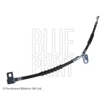Flexible de frein avant gauche BLUE PRINT ADM55379