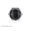 Indicateur de pression d'huile BLUE PRINT ADM56608 - Visuel 2