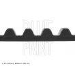 Courroie crantée BLUE PRINT ADM57521 - Visuel 2