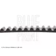 Courroie crantée BLUE PRINT ADM57525 - Visuel 2