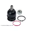 Rotule de suspension BLUE PRINT ADM58655 - Visuel 1