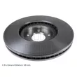 Jeu de 2 disques de frein avant BLUE PRINT ADN143168 - Visuel 2