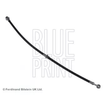 Flexible de frein arrière gauche BLUE PRINT ADN153133
