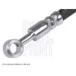 Flexible de frein arrière gauche BLUE PRINT ADN153189 - Visuel 2