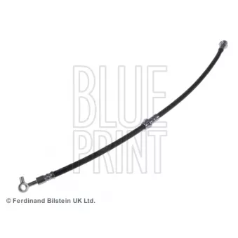 Flexible de frein avant gauche BLUE PRINT