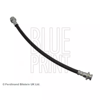 Flexible de frein BLUE PRINT