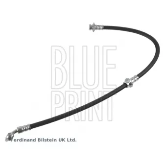 Flexible de frein avant gauche BLUE PRINT