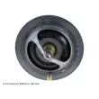 Thermostat d'eau BLUE PRINT ADN19205 - Visuel 2