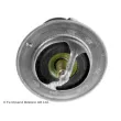 Thermostat d'eau BLUE PRINT ADN19206 - Visuel 2