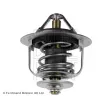 Thermostat d'eau BLUE PRINT ADN19207 - Visuel 2
