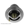 Thermostat d'eau BLUE PRINT ADN19210 - Visuel 2