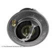 Thermostat d'eau BLUE PRINT ADN19214 - Visuel 2