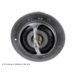 Thermostat d'eau BLUE PRINT ADN19218 - Visuel 1