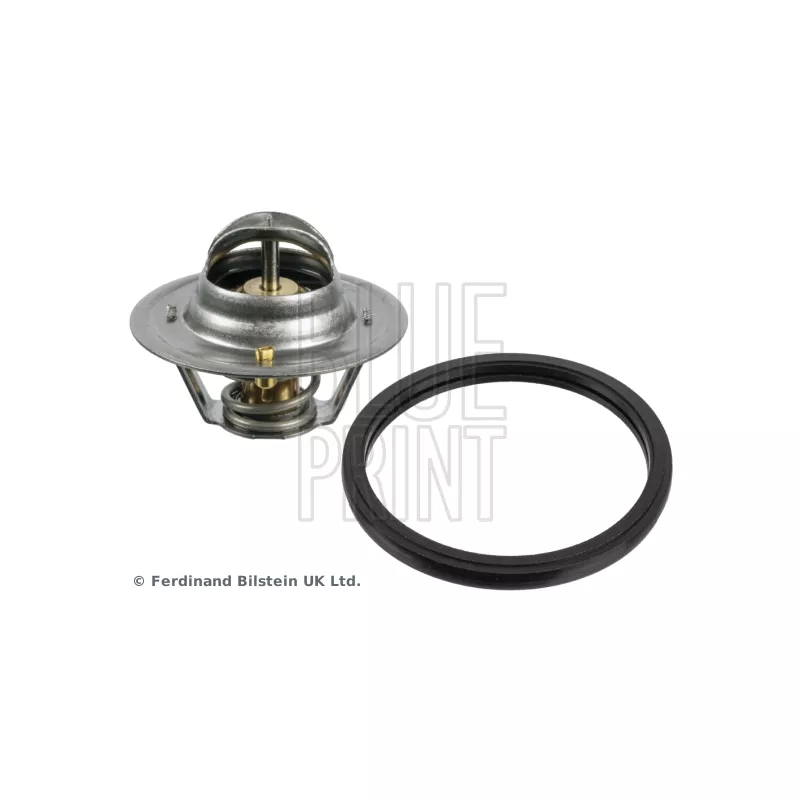 Thermostat d'eau BLUE PRINT ADN19227