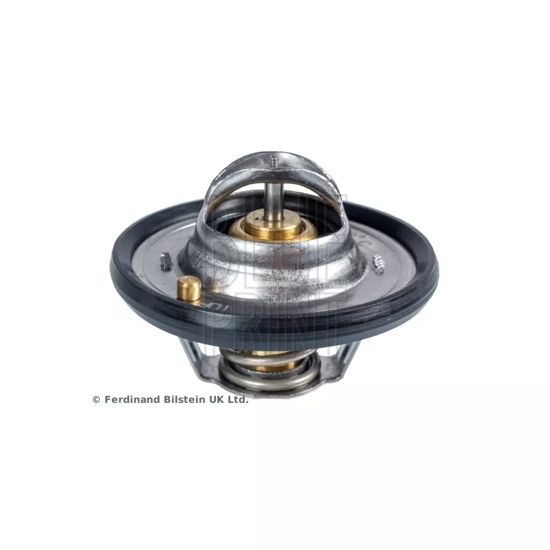 Thermostat d'eau BLUE PRINT ADN19232