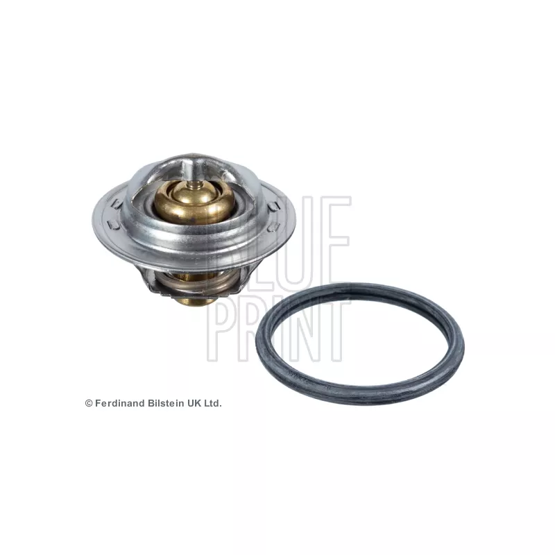 Thermostat d'eau BLUE PRINT ADN19233