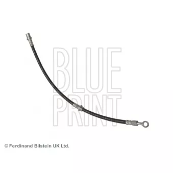 Flexible de frein arrière gauche BLUE PRINT