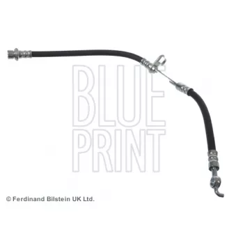 Flexible de frein avant droit BLUE PRINT