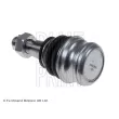 Rotule de suspension BLUE PRINT ADS78610 - Visuel 2