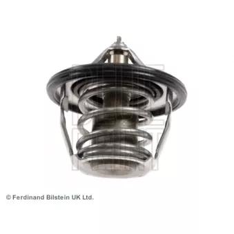 Thermostat d'eau BLUE PRINT ADS79205