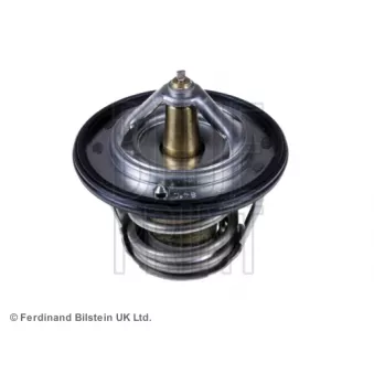 Thermostat d'eau BLUE PRINT ADS79207
