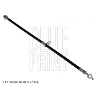 Flexible de frein BLUE PRINT ADT353155