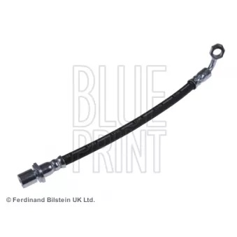 Flexible de frein BLUE PRINT