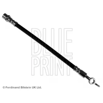 Flexible de frein BLUE PRINT