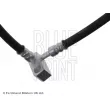 Flexible de frein arrière gauche BLUE PRINT ADT353205 - Visuel 2
