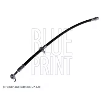 Flexible de frein arrière droit BLUE PRINT ADT353214