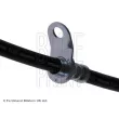 Flexible de frein arrière droit BLUE PRINT ADT353216 - Visuel 2