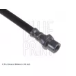 Flexible de frein avant droit BLUE PRINT ADT353218 - Visuel 2