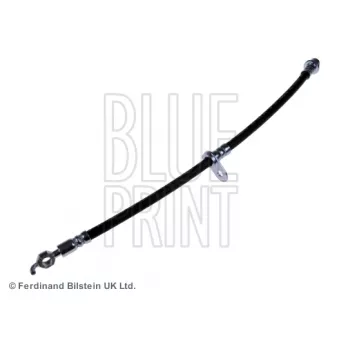 Flexible de frein avant droit BLUE PRINT ADT353237