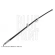 Flexible de frein avant gauche BLUE PRINT ADT353271 - Visuel 1