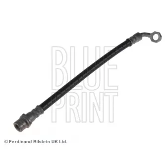 Flexible de frein arrière droit BLUE PRINT ADT353274