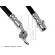 Flexible de frein arrière gauche BLUE PRINT ADT353281 - Visuel 3