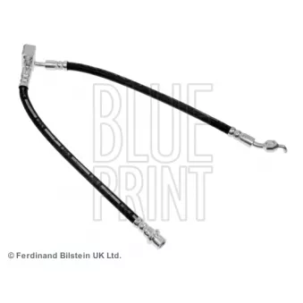 Flexible de frein arrière droit BLUE PRINT ADT353282