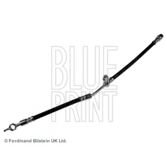 Flexible de frein avant droit BLUE PRINT